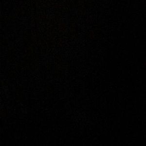 Meet your Posher, Lola